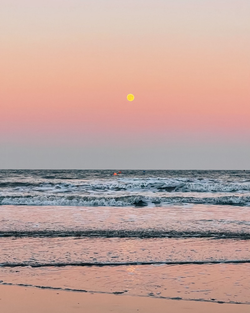 Happy New Year 2022-23